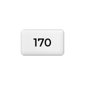 Couché mat 170 g