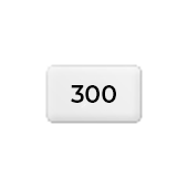 Couché mat <br/>300 g